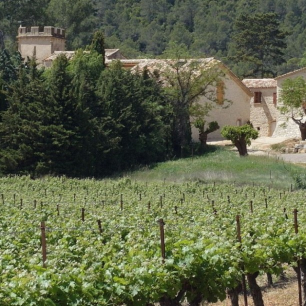 Le Domaine de Monteils