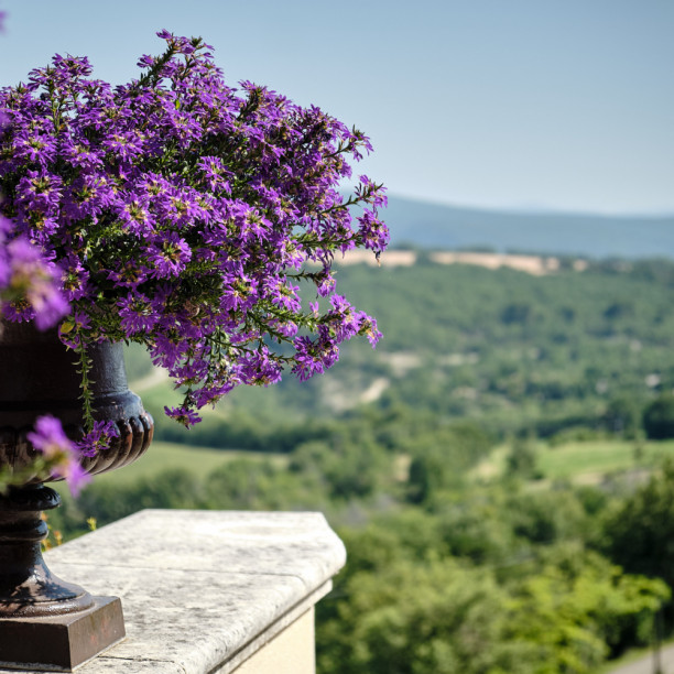 La Bastide de Caseneuve