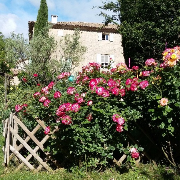 Bastide de Boisset