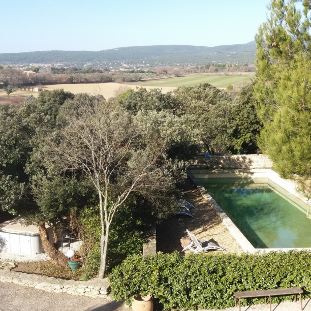 Bacchus en Luberon