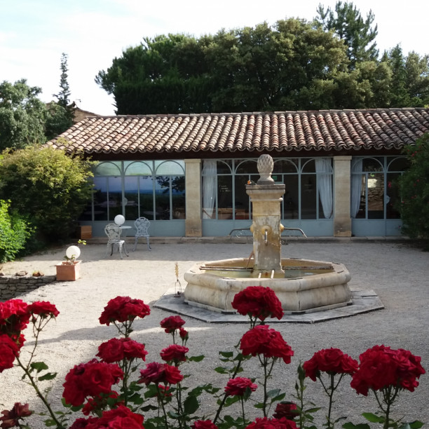 Bacchus en Luberon