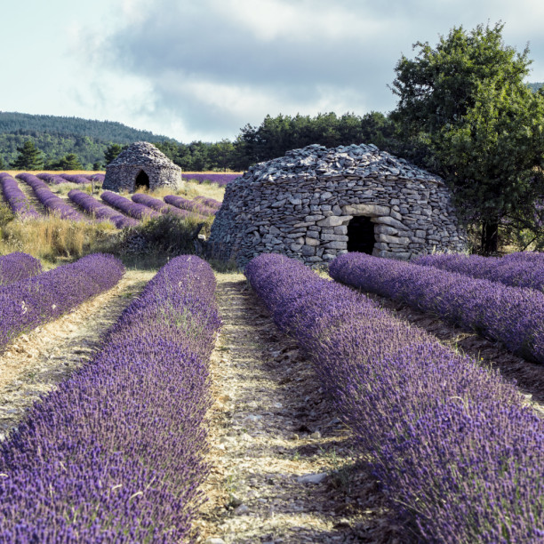 La Bastide des Bourguets