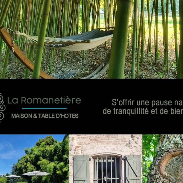 la Romanetière 