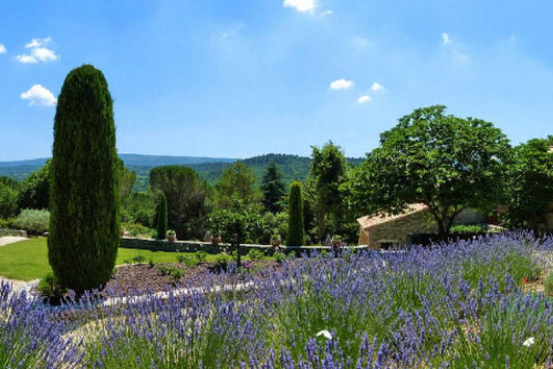 Bed and Breakfast Luberon La Canove