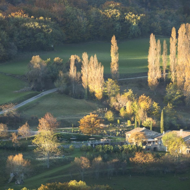 La Bergerie de Féline